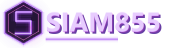 SIAM855